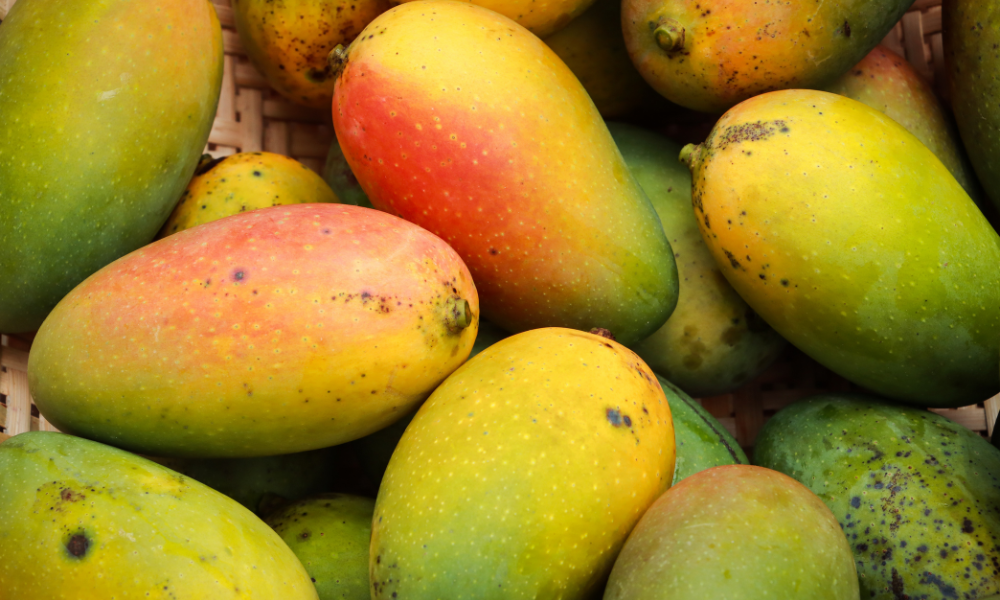 Mango Seed Butter